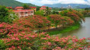 ASSAM, MEGHALAYA TOUR PACKAGE - Image 6