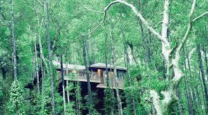 MYSORE COORG TOUR PACKAGE - Image 6