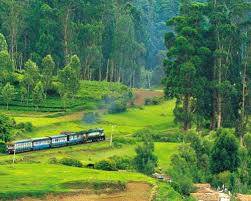 OOTY COORG TOUR PACKAGE - Image 6