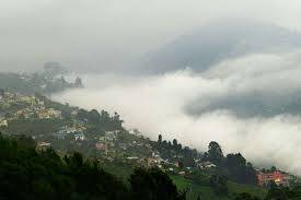 OOTY KODAIKANAL TOUR PACKAGE - Image 7