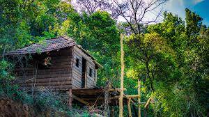 BANGALORE OOTY COORG TOUR PACKAGE - Image 6