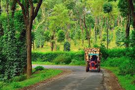 Bangalore , Ooty, Mysore , Coorg & Wayanad Tour Package  - Image 9