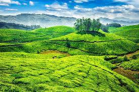 Kerala Tour Package1 - Image 6